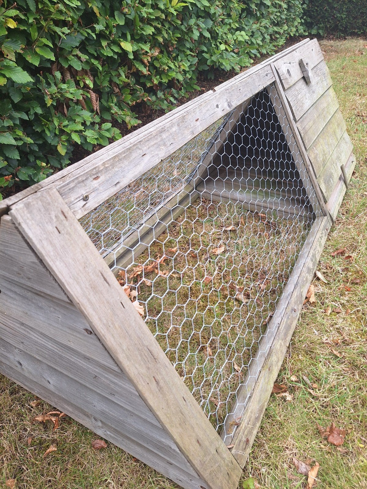 Ren voor kleine huisdieren, Moins de 60 cm, Cobaye, Enlèvement, Utilisé