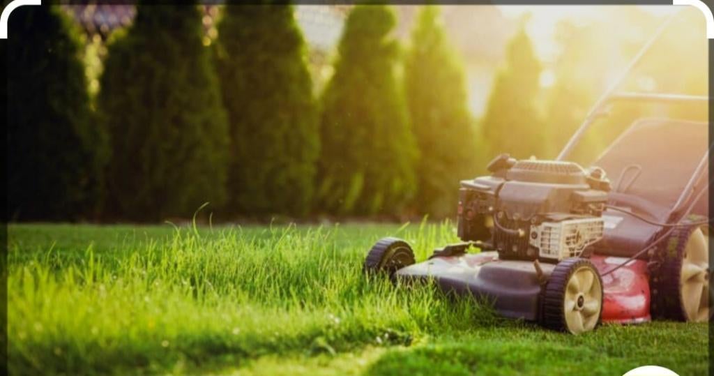Entretien jardin, Enlèvement ou Envoi, Neuf
