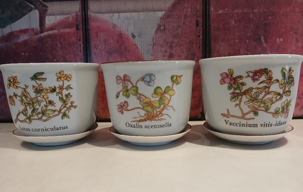Vintage bloempotjes botanica porselein met schotel 3st, Tuin en Terras, Ophalen of Verzenden, Binnen