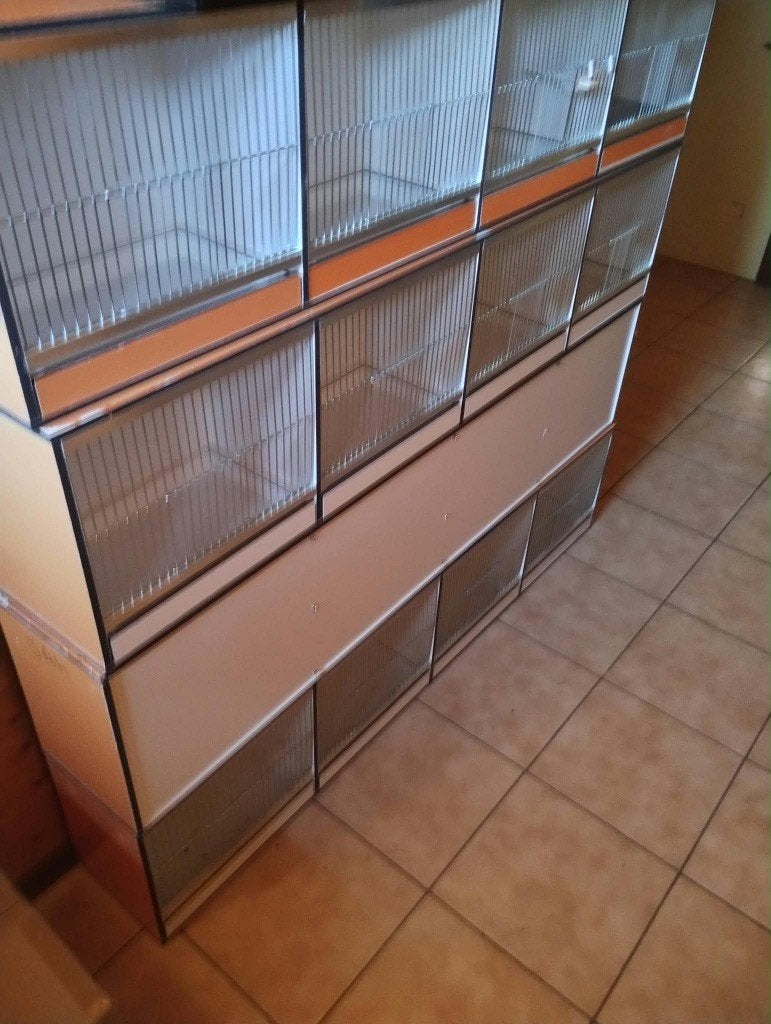 cages à oiseaux, Enlèvement, Neuf, Synthétique, Cage à oiseaux