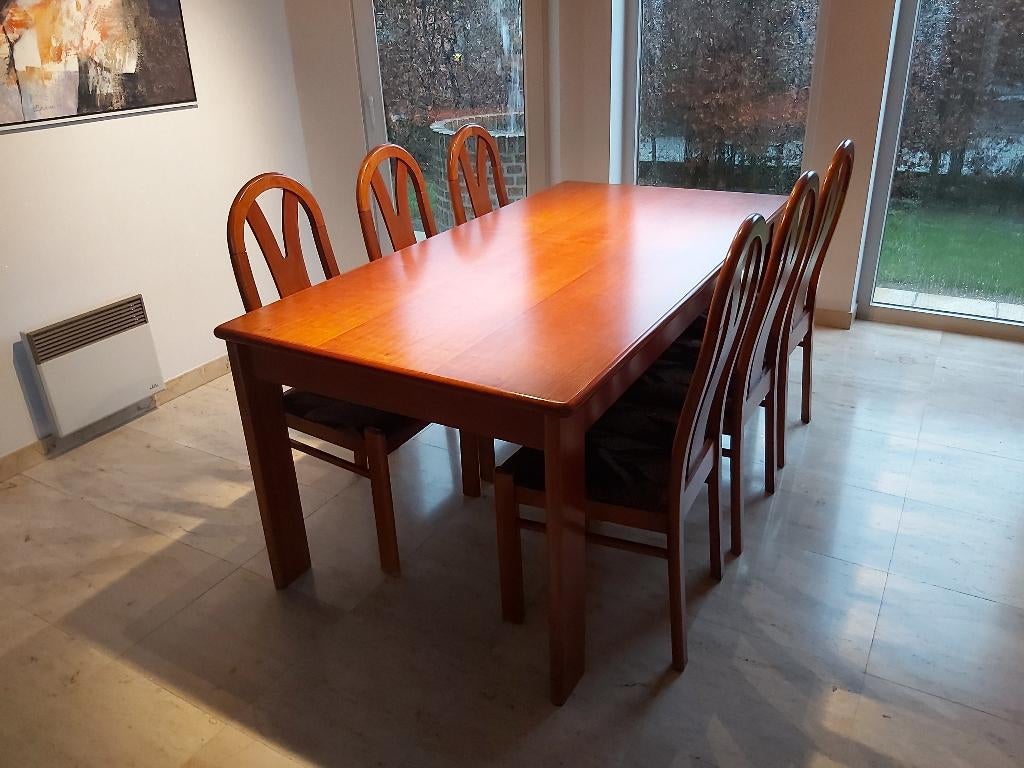 Eettafel + 6 stoelen, Huis en Inrichting, Ophalen, Gebruikt, Modern klassiek, 200 cm of meer