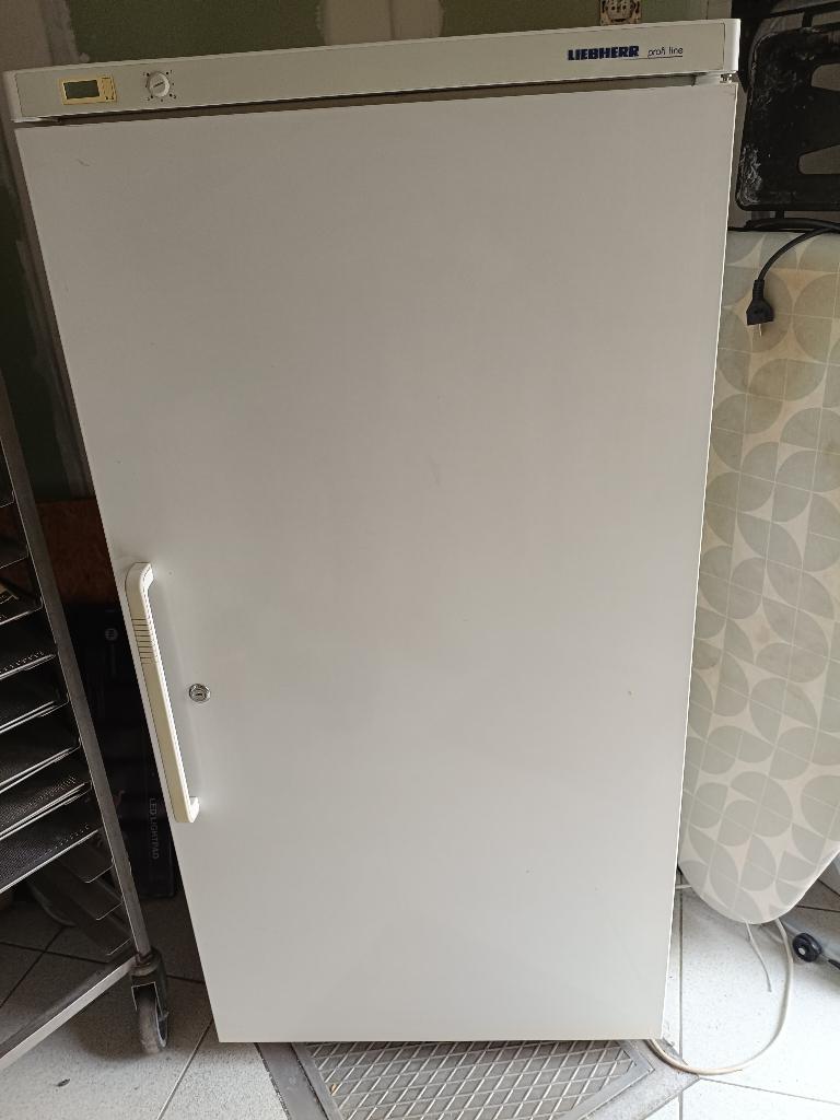 Koelkast Liebherr, Elektronische apparatuur, Koelkasten en IJskasten, 200 liter of meer, Ophalen, Gebruikt, Zonder vriesvak