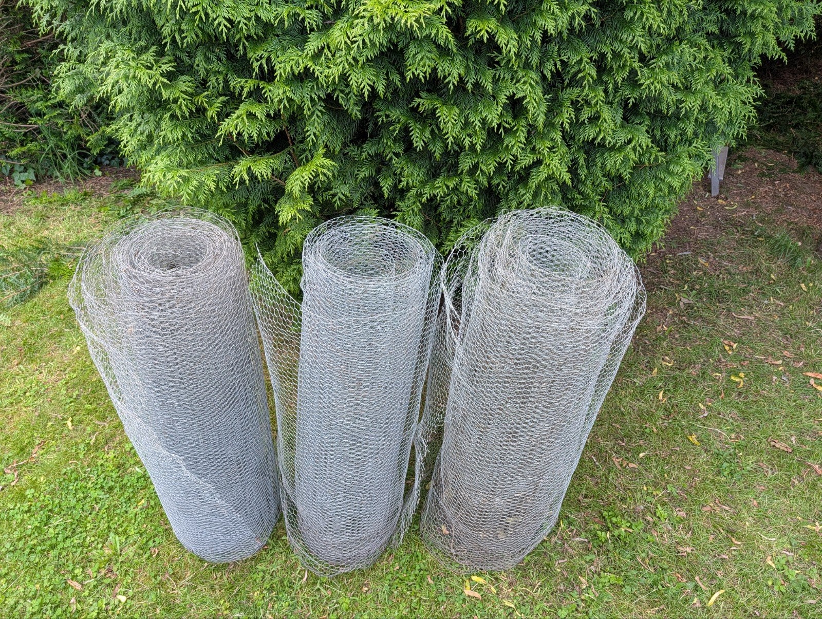 Kippengaas, Jardin & Terrasse, Gaze & Fils, Enlèvement