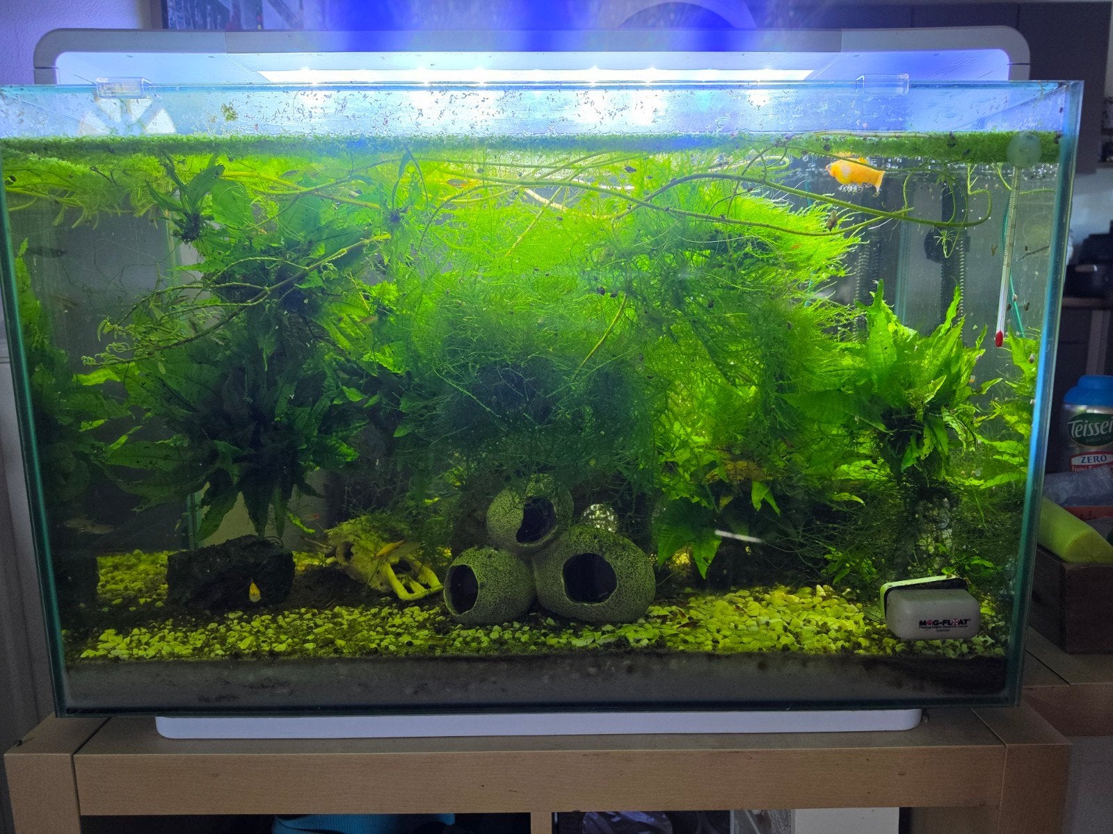Aquarium Superfish Home 110 blanc complet, Enlèvement, Chauffage, Superfish