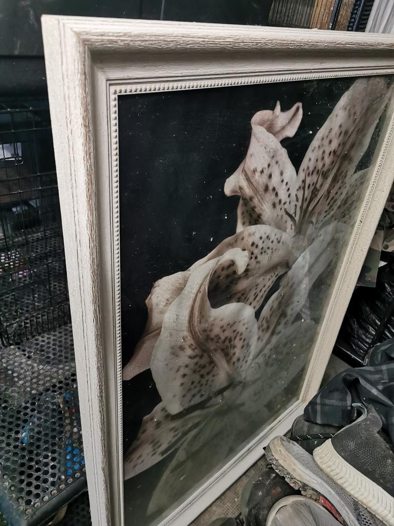 Orchideetafel