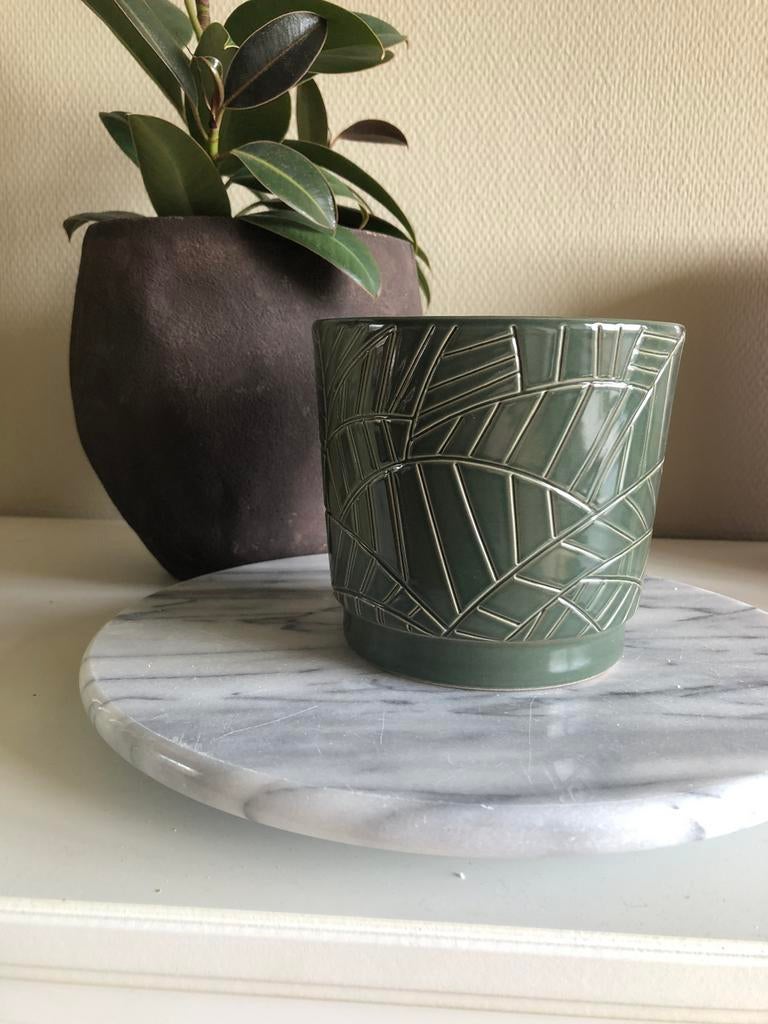 Groene Bloempot van dille en kamille, Moins de 25 cm, Comme neuf, Enlèvement, Intérieur
