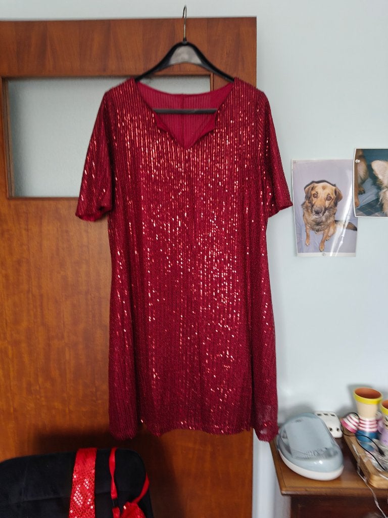 Feest kleding, Kleding | Dames, Overige typen, Geen speciaal merk, Maat 46/48 (XL) of groter, Ophalen of Verzenden