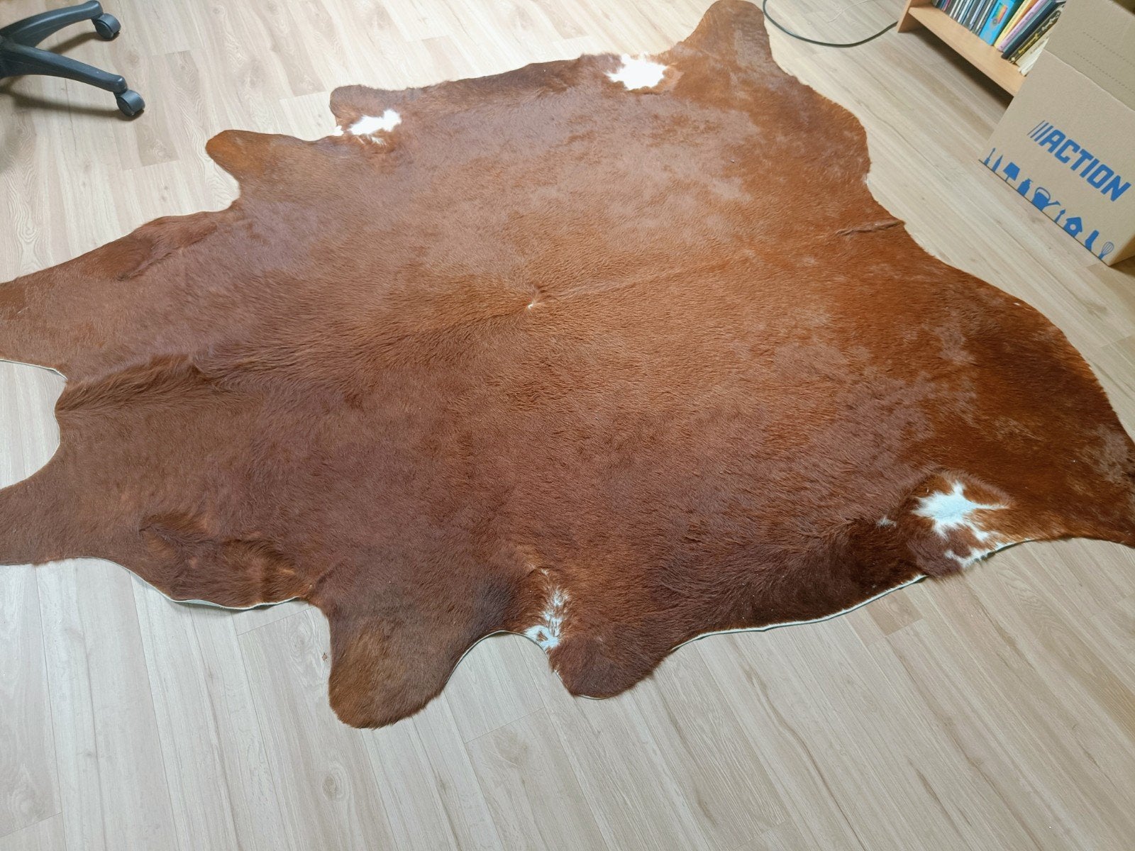 Groot koeienvel, Ophalen