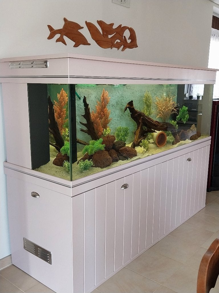 grand aquarium a vendre de 840 litres avec meuble, Comme neuf, Enlèvement, Autres marques, Aquarium d'eau douce rempli