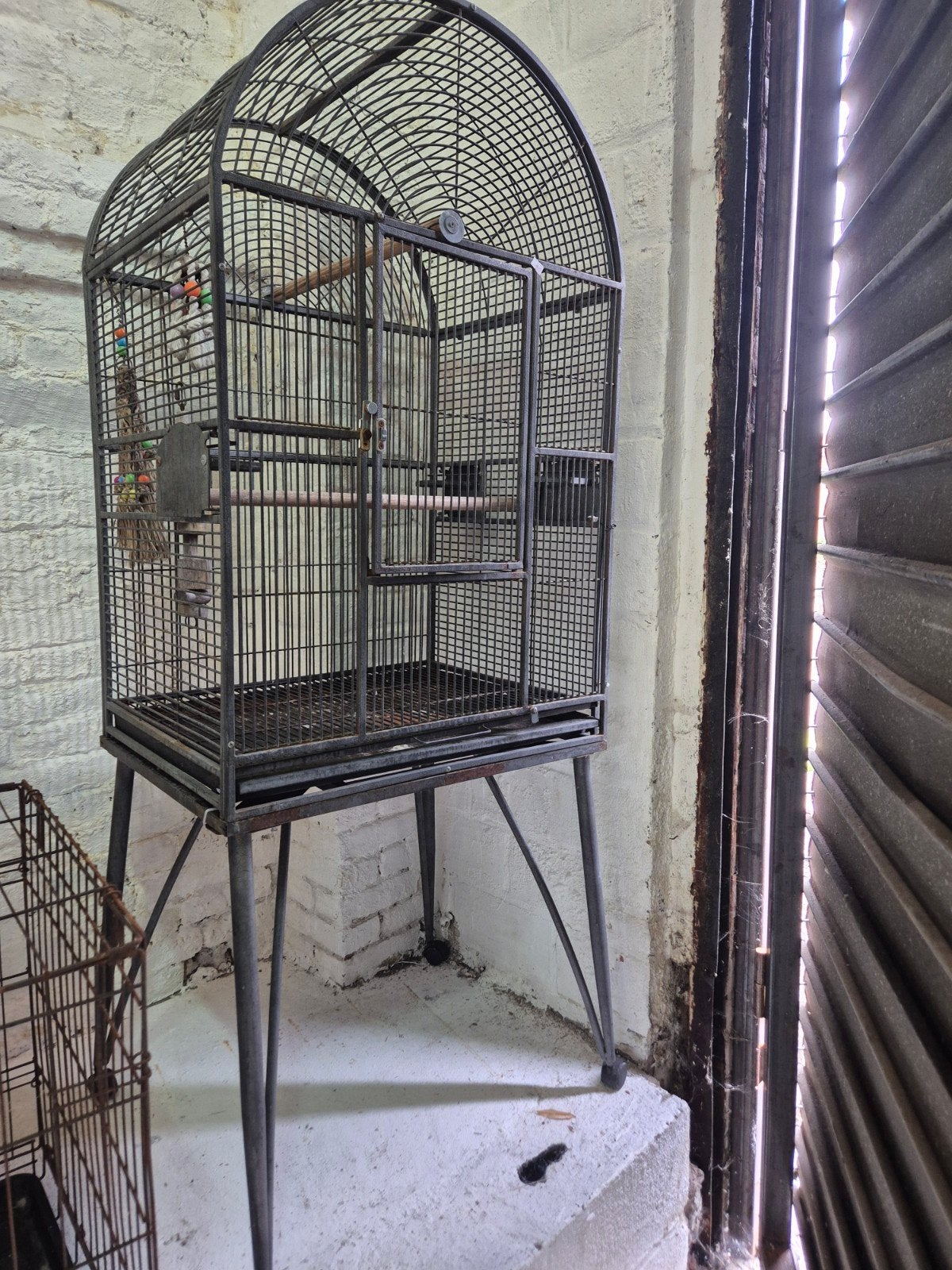 cage, Enlèvement