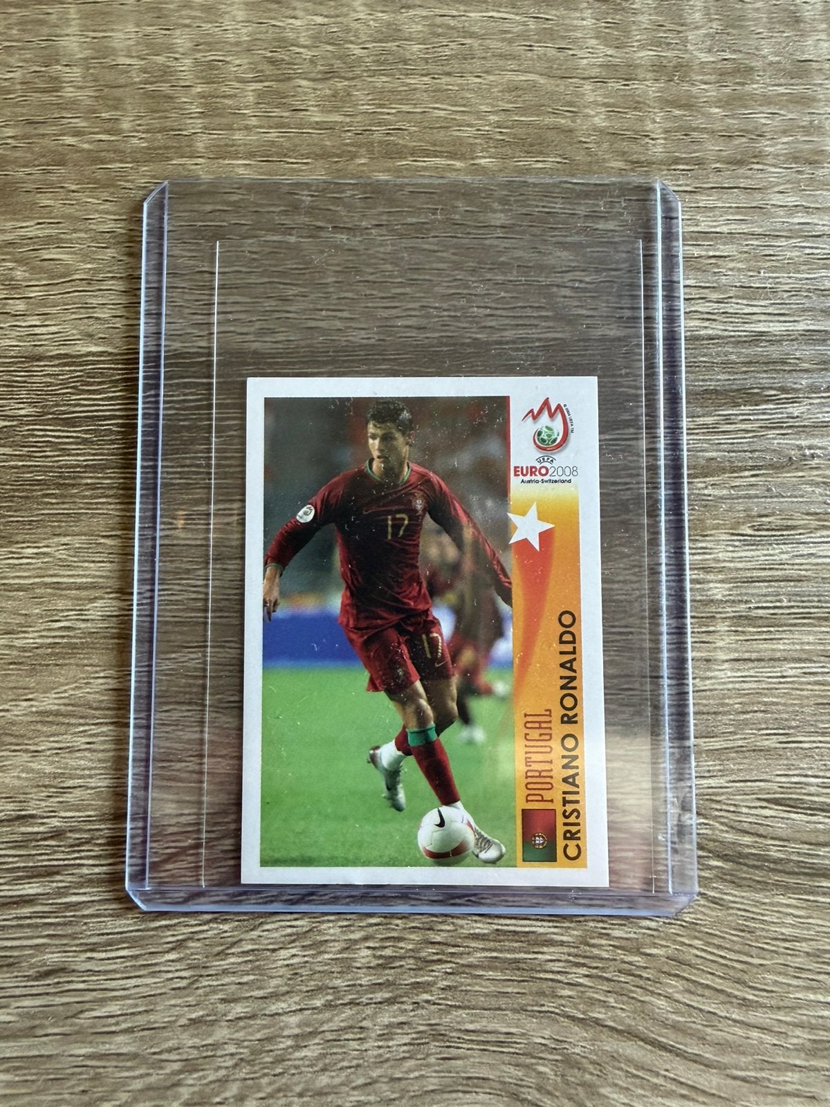 Panini sticker ek 2008, Ophalen of Verzenden, Zo goed als nieuw, Sticker