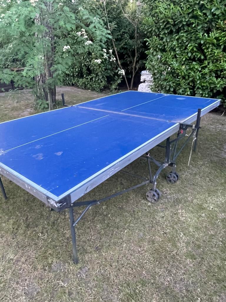 Pingpong tafel, Sports & Fitness, Ping-pong, Enlèvement