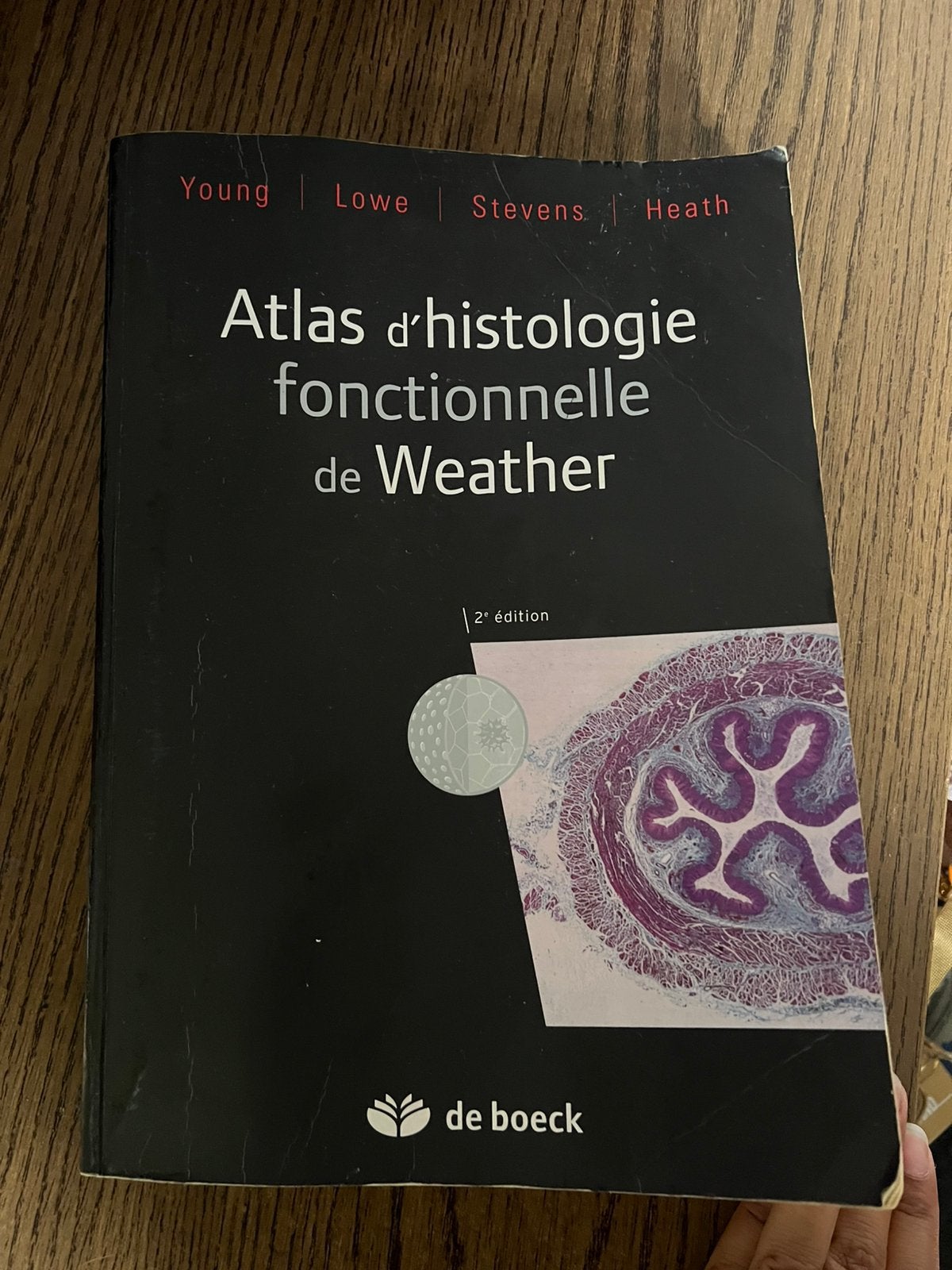 Atlas d’histologie fonctionnelle de Weather (De boek), Livres, Livres d'étude & Cours, Enlèvement, Utilisé, Enseignement supérieur