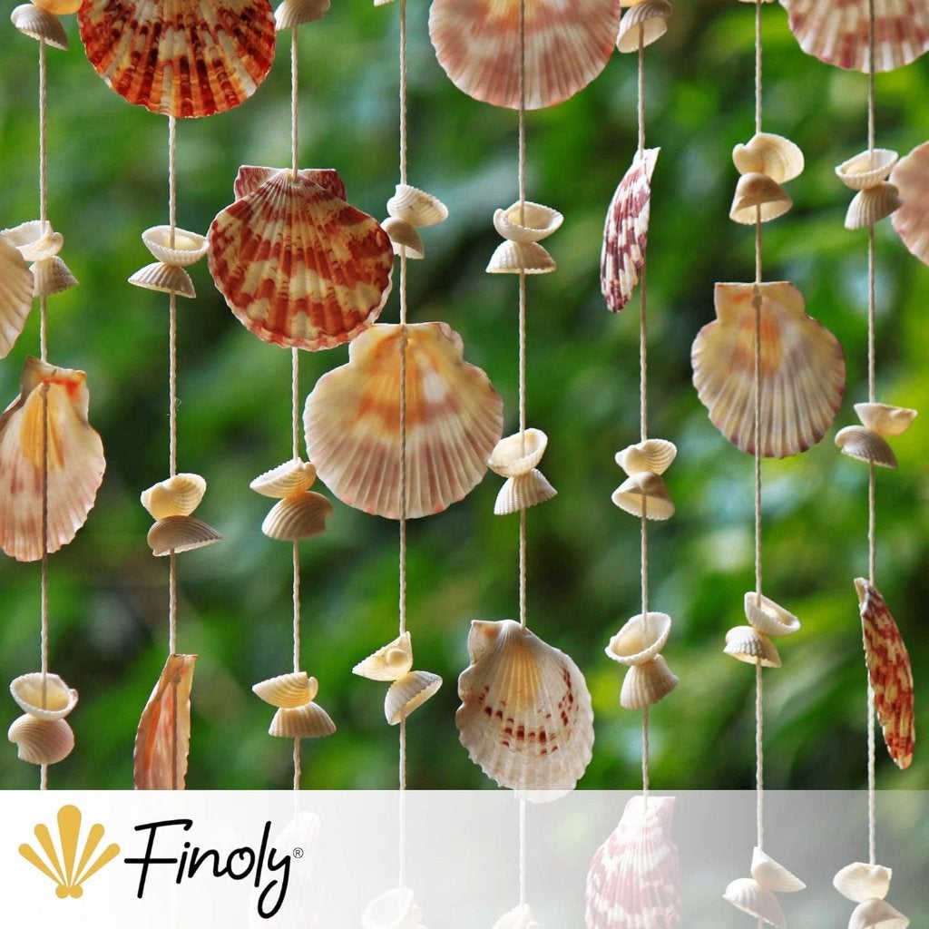 70 natuurlijke coquilles om te koken, te decoreren, Ophalen of Verzenden, Nieuw, Knutselwerk