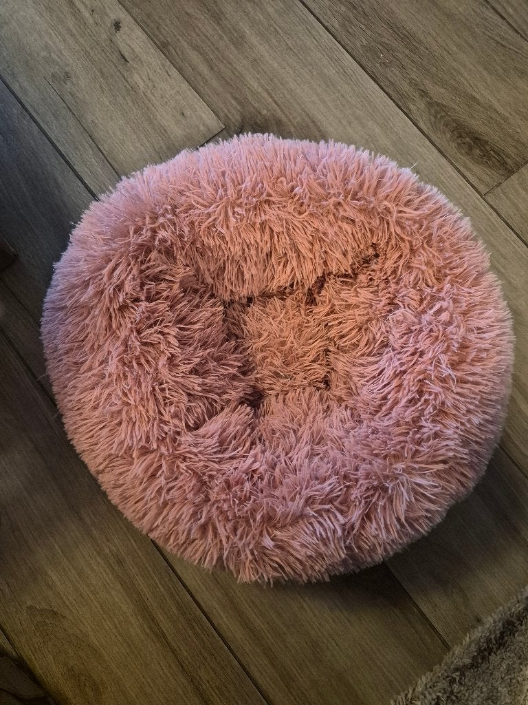 Lit pour chat - Nouveau - Rose, Enlèvement ou Envoi, Neuf