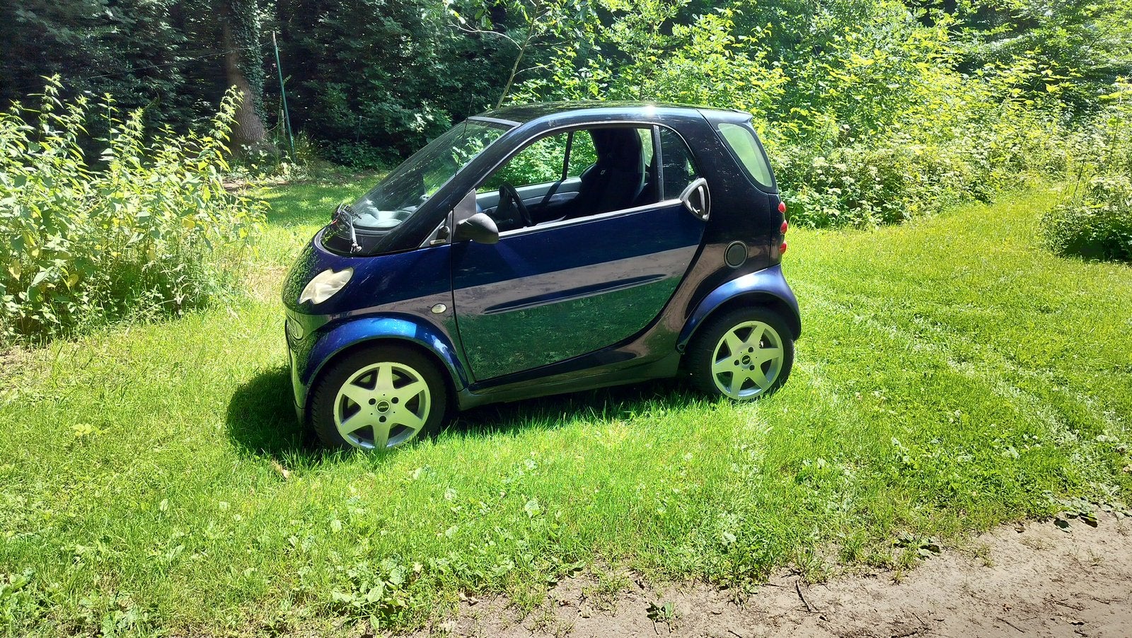 Smart for two, Auto's, Automaat, Achterwielaandrijving, Blauw, Particulier