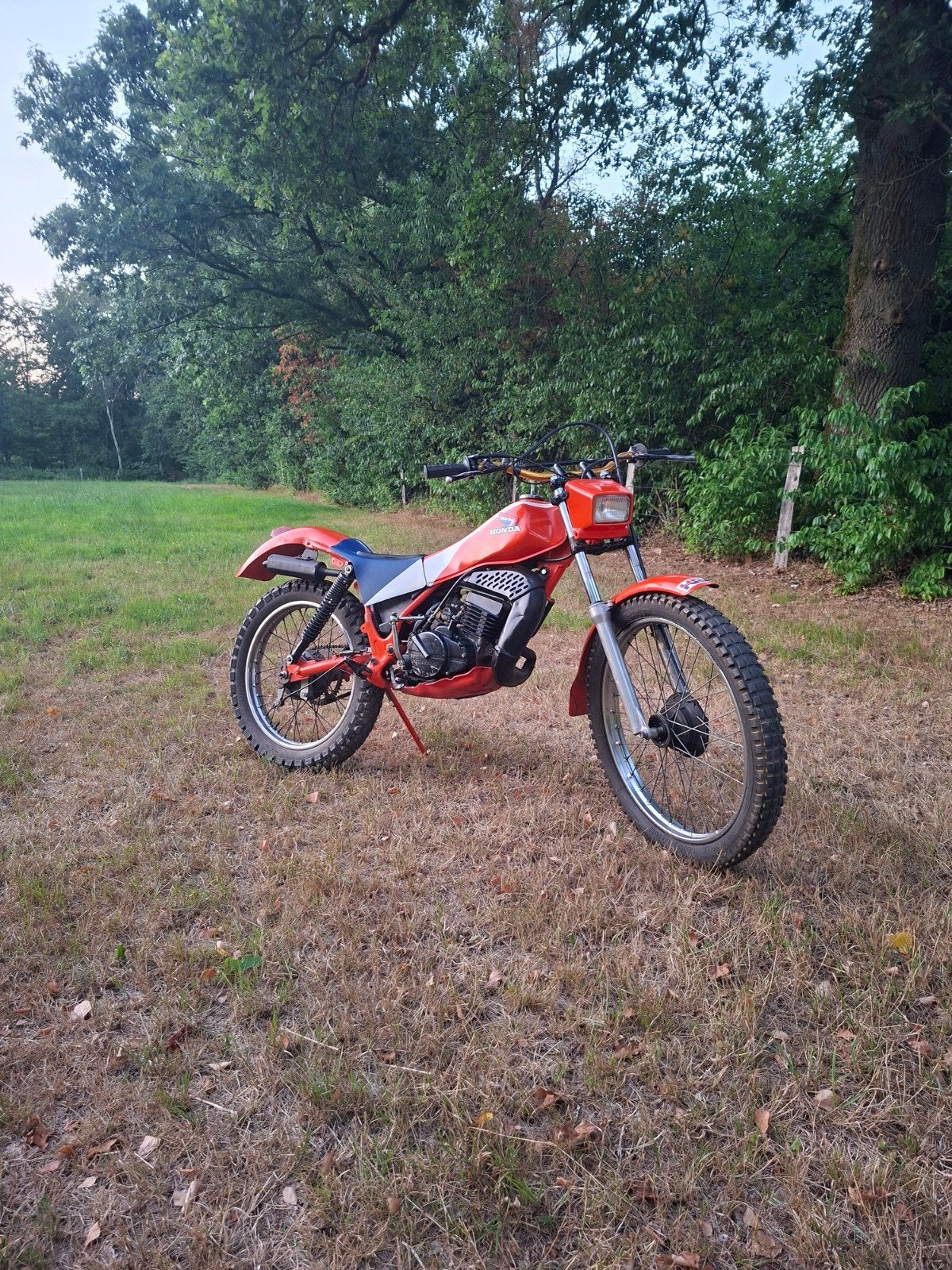 honda tlm 50, Vélos & Vélomoteurs, Cyclomoteurs | Honda, Utilisé, Autres modèles, Enlèvement