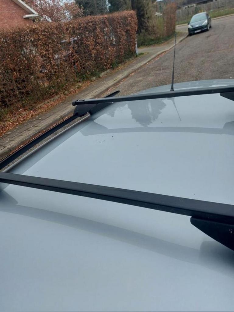Dakdragers citroën cactus, Auto diversen, Dakdragers, Ophalen, Zo goed als nieuw