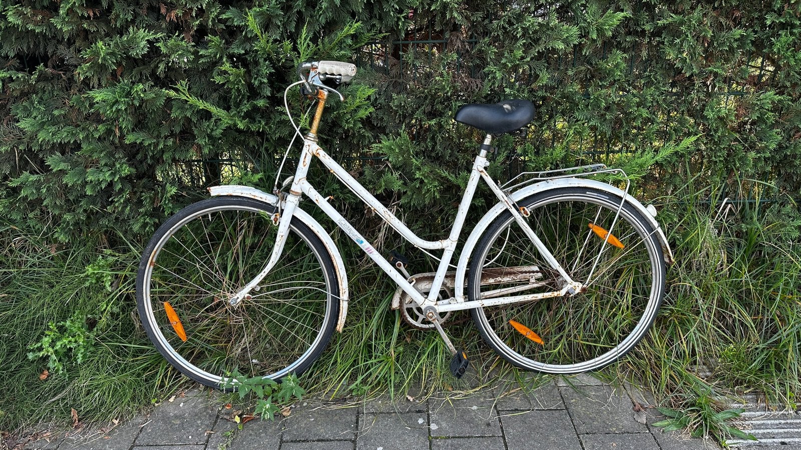 Gratis damesfiets, Enlèvement