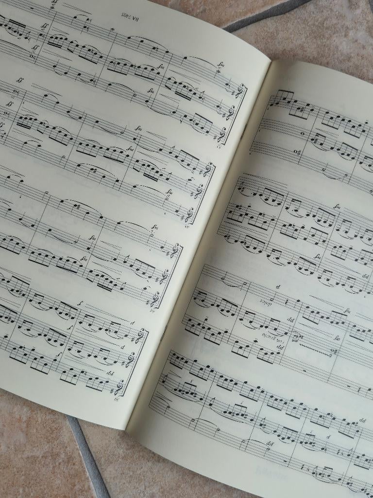 Bladmuziek 3 fluiten of meer. 6 boeken, Ophalen of Verzenden, Zo goed als nieuw, Overige soorten, Viool of Altviool