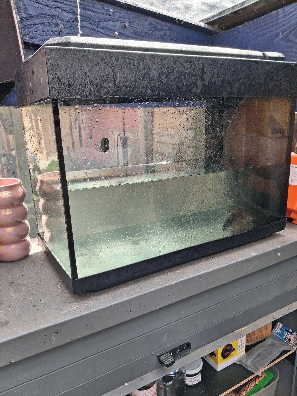 AQUARIUM GRATUIT avec 2 poissons rouges, Enlèvement