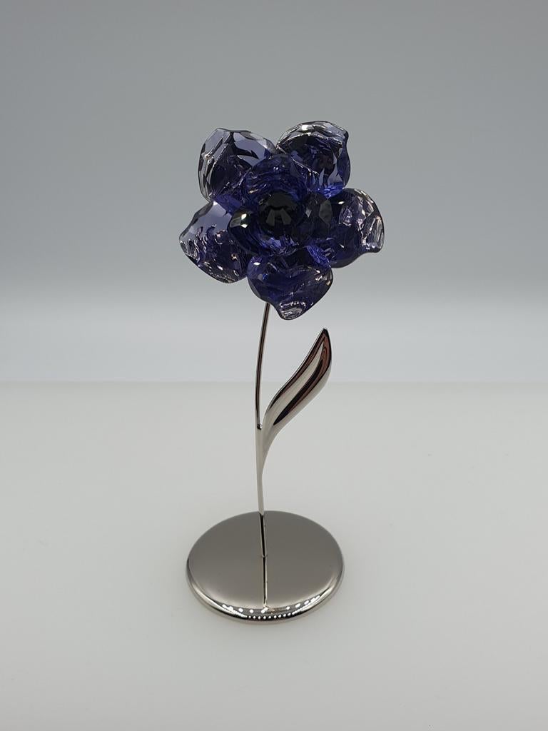 Swarovski Darany - Tanzanite 848450., Ophalen of Verzenden, Nieuw