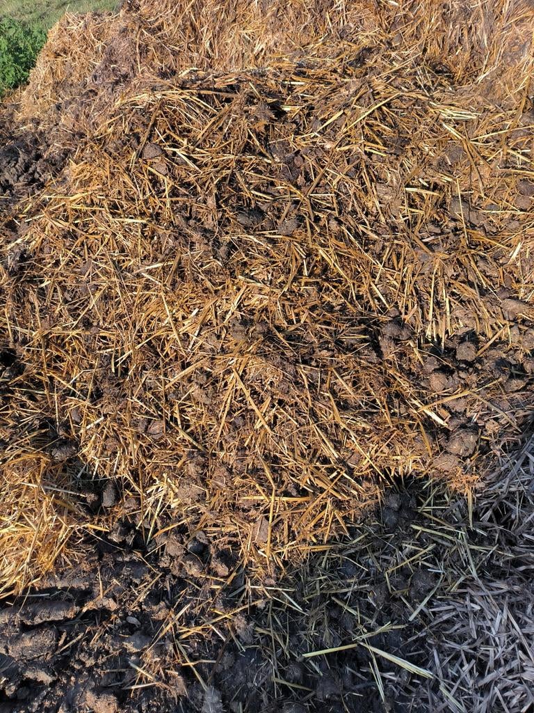 fumier de cheval sur paille, Enlèvement, Fumier