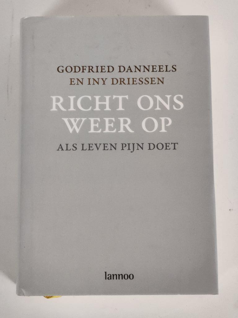 Richt ons weer op - godfried danneels & iny driessen, Ophalen of Verzenden, Gelezen