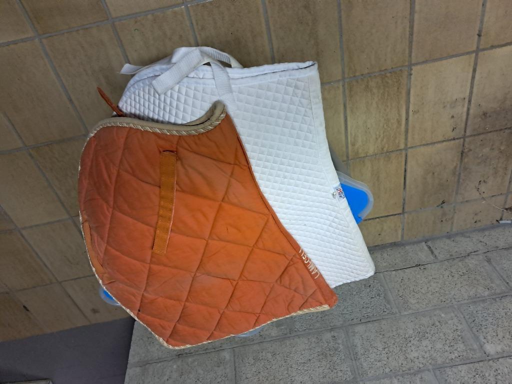 Tapis de selle d équitation, Enlèvement, Utilisé, Dressage
