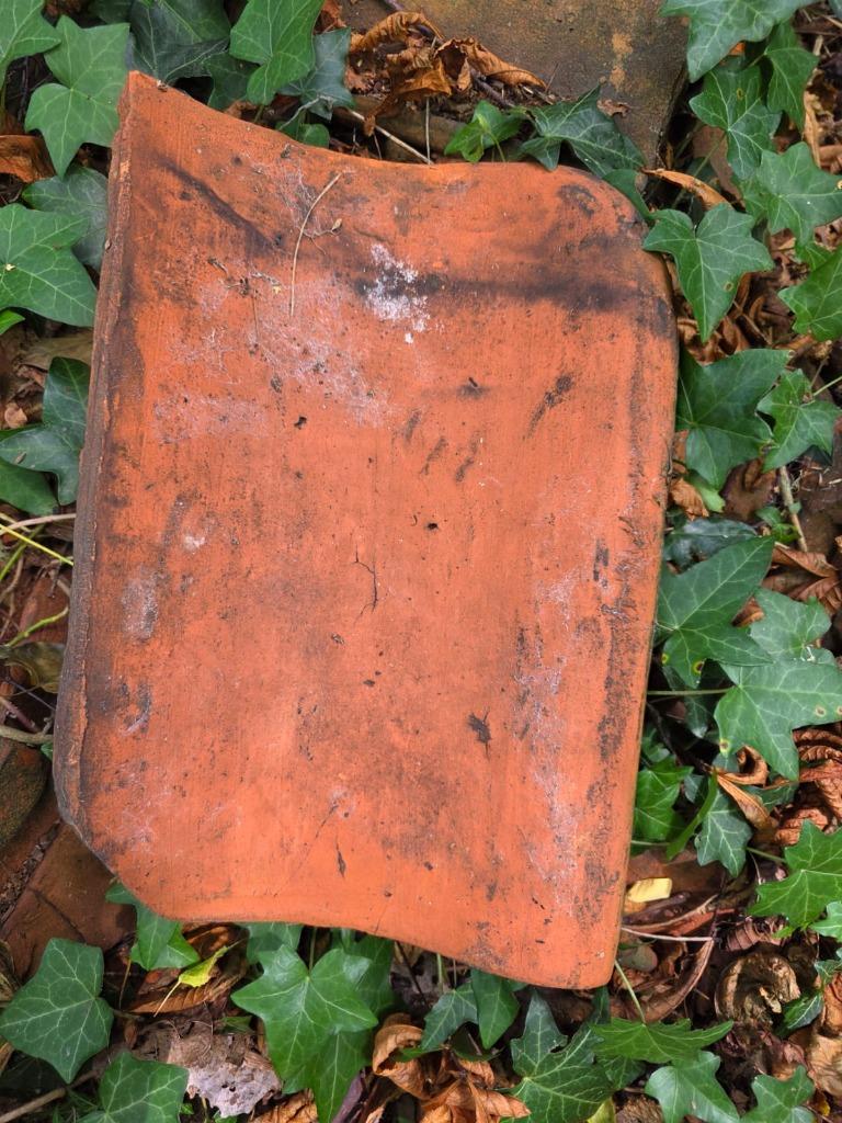 Schulense dakpannen, Ophalen, Steen of Klei, Dakpannen, Rood