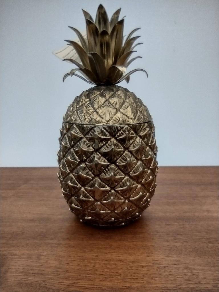 Ijsemmer ananas manetti, Ophalen of Verzenden
