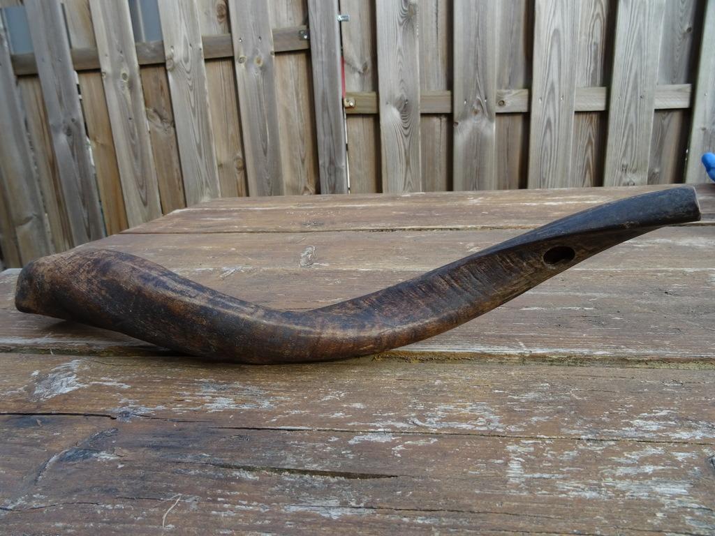 Cor de chasse Africain cor de chasse Afrique 44cm 1950, Enlèvement ou Envoi