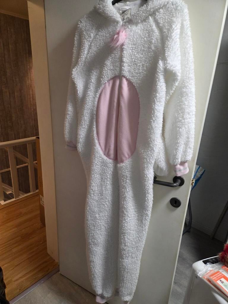 Carnaval onsie, Ophalen