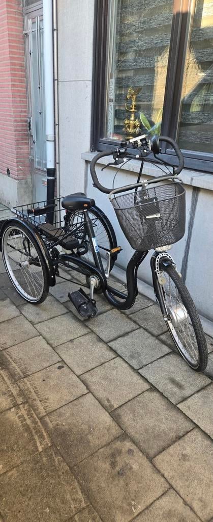 Mooi elektrische 3 wiel fiets., Ophalen of Verzenden