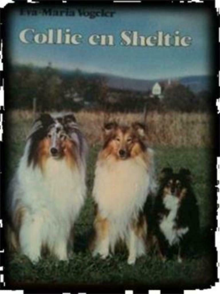 Collie en Sheltie, Eva-Maria Vogeler, Enlèvement, Utilisé, Chiens