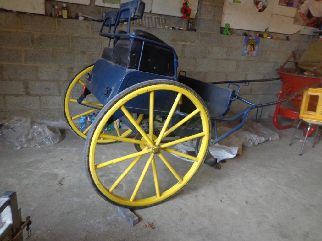 Calèche 2 places, grandes roues, Utilisé, Cheval