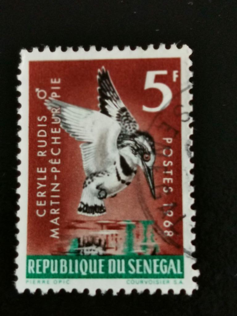 Senegal 1968 - vogels - Bonte ijsvogel, Ophalen of Verzenden, Overige landen, Gestempeld