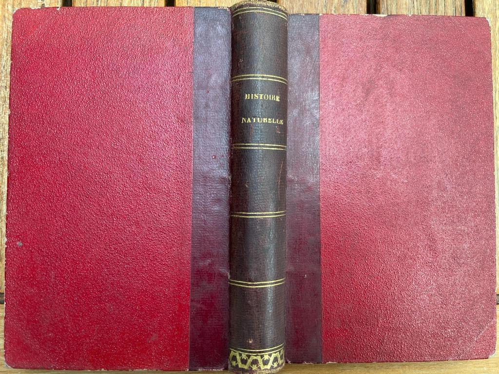 'Histoire Naturelle', par J. Langlebert  - 1887, Livres, Enlèvement ou Envoi, Utilisé, J. Langlebert, Gamma