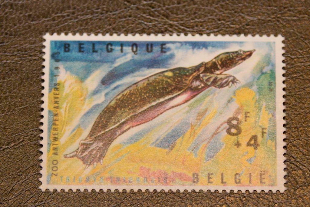 Postzegel België OBP 1348 postfris, Postzegels en Munten, Postzegels | Europa | België, Ophalen of Verzenden, Postfris, Postfris