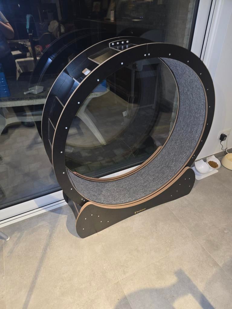 Kattenwiel, Dieren en Toebehoren, Kattenspeelgoed, Ophalen, Zo goed als nieuw, Intelligentiespeelgoed