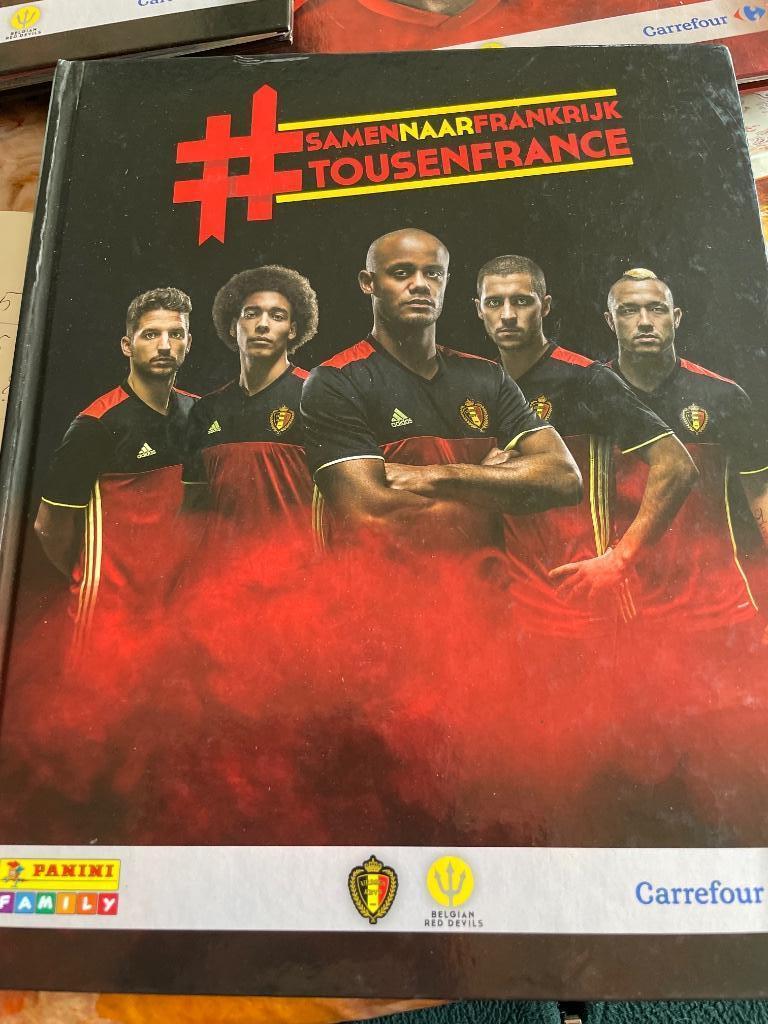 Album stickers Panini /Carrefour tous en France, Collections, Autres supermarchés, Enlèvement ou Envoi