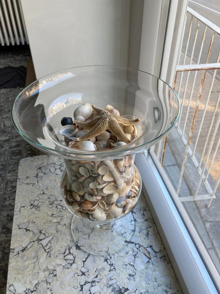 Schelpen vaas pot, Ophalen of Verzenden