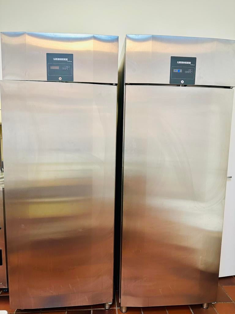 Liebherr ProfiLine BGPv 856L Perfect 4 Patisserie & IJssalon, Ophalen, Gebruikt, Koelen en Vriezen