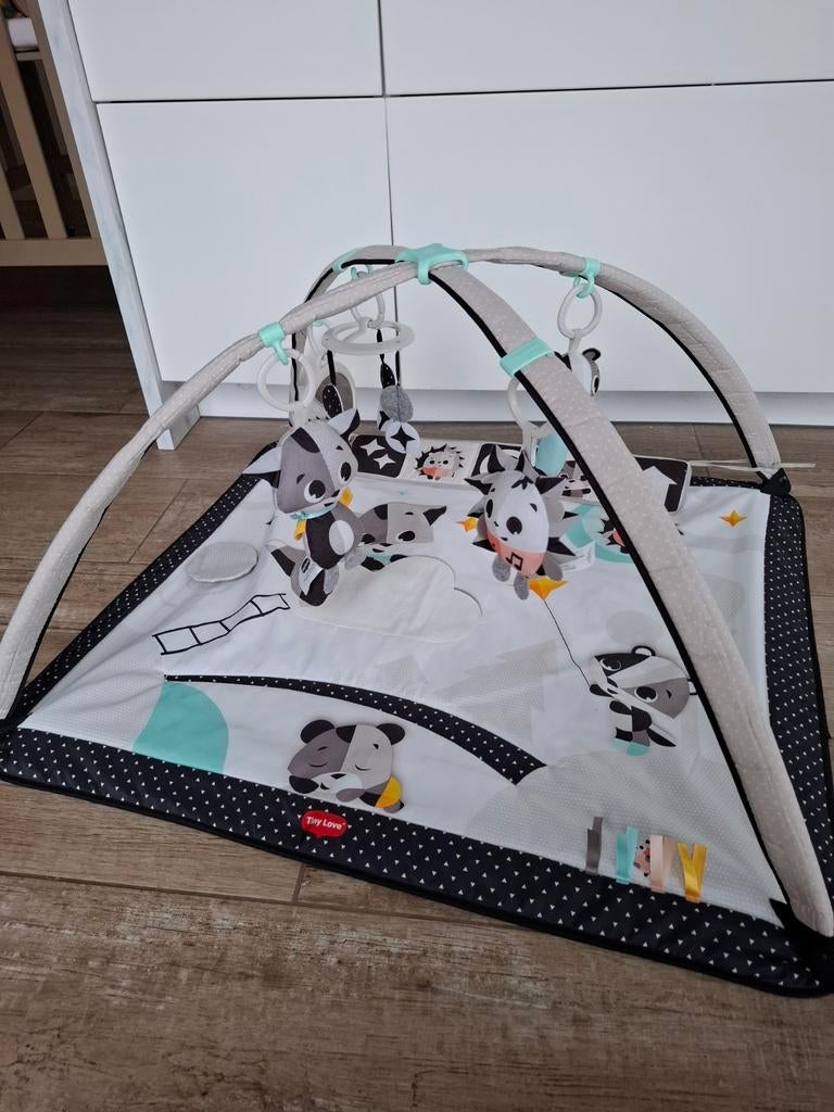 Tiny Love speelmat, Kinderen en Baby's, Ophalen