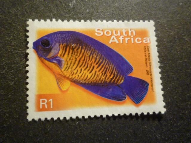 Zuid-Afrika/Afrique du Sud 2003 Mi 1295C(o), Envoi, Afrique du Sud
