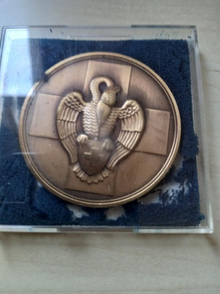 Bronzen medaille 10 Euro stuk., Postzegels en Munten, Penningen en Medailles, Ophalen