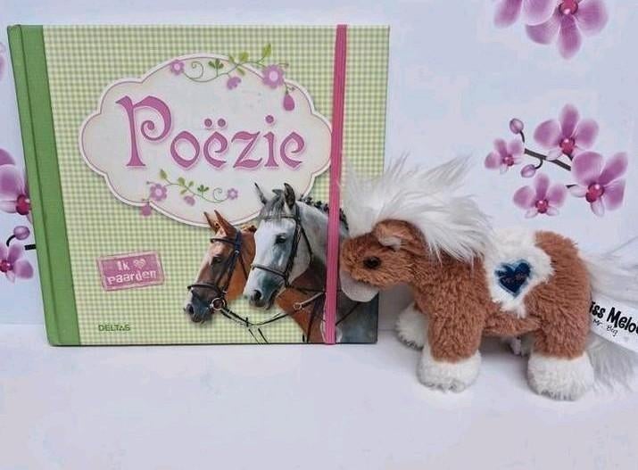 🐴 Cahier de poésie 🐎, Enlèvement ou Envoi