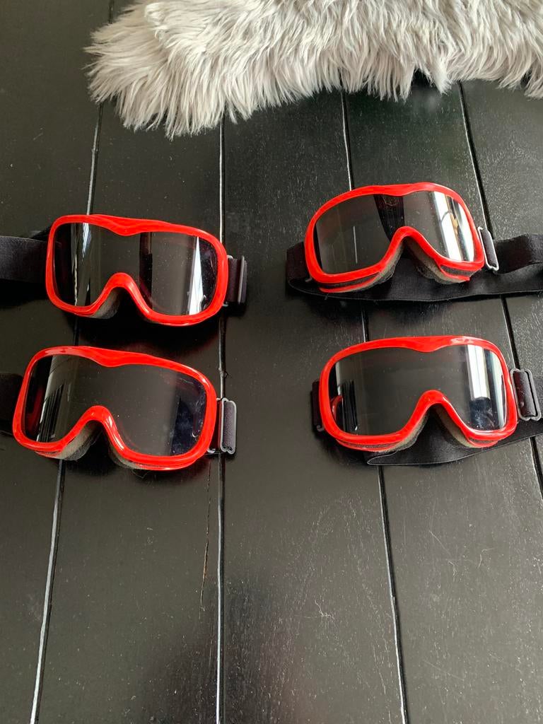 4 ski brillen samen 25 euro, Sport en Fitness, Skiën en Langlaufen, Ophalen of Verzenden, Zo goed als nieuw