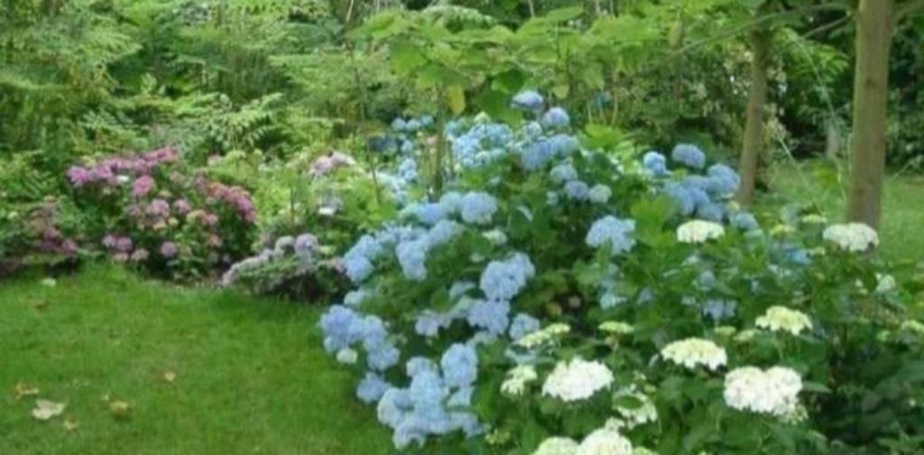 Jardin, Ophalen