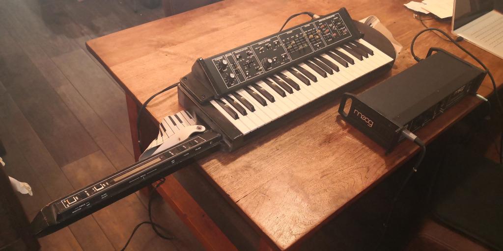 moog liberation keytar 1980s, Enlèvement ou Envoi, Utilisé, Autres nombres, Autres marques
